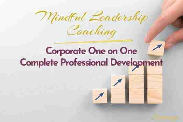 Complete Professional Development Coaching Program
