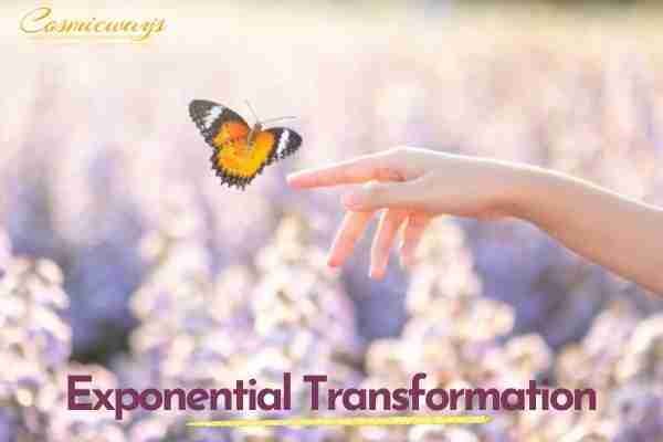 Exponential Transformation